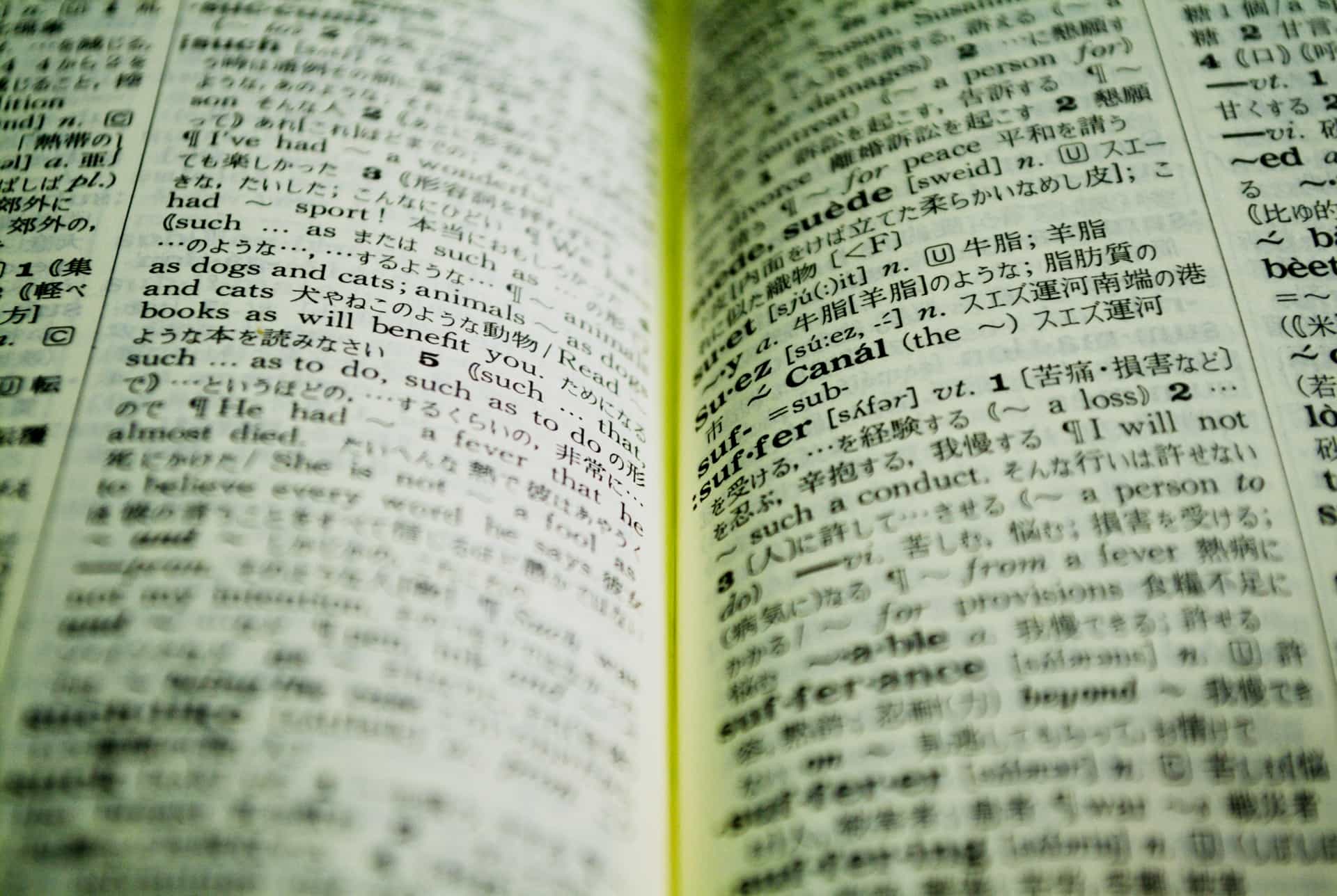 【英和辞典の使い方】英訳や和訳に英和辞典を活用しよう！
